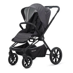 Прогулочная коляска Raiz LL Stone grey (05STGR) 2023 Labala