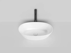 Раковина накладная SALINI