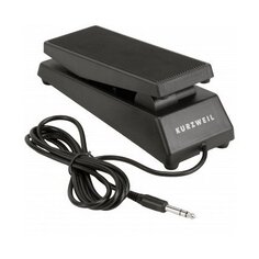 CC-1 Kurzweil