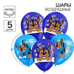 Шар воздушный PAW Patrol