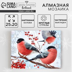 Новогодняя алмазная мозаика с частичным заполнением Школа талантов