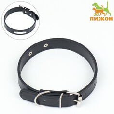 Ошейник из искусственной кожи с шильдом под гравировку, 2,5 х 52 см, ош 35-45 см, черный Пижон