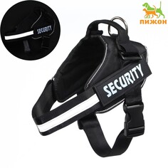 Шлейка для собак Пижон