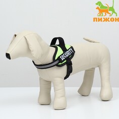 Шлейка для собак Пижон