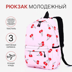 Рюкзак школьный из текстиля на молнии, наружный карман, цвет розовый NO Brand