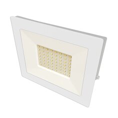 Прожектор светодиодный, Ultraflash, LFL-3001 C01, 30 Вт, 6500 К, белый, 14129