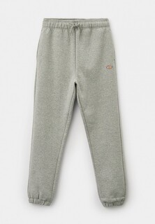 Брюки спортивные Dickies MAPLETON