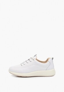 Кроссовки Tervolina Exclusive online