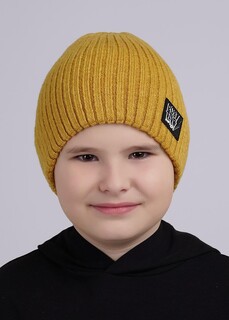 Шапка Clever