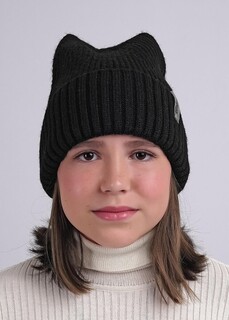 Шапка Clever
