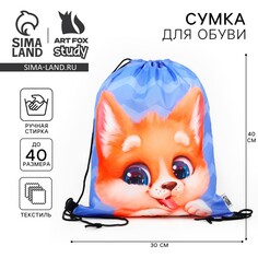 Мешок для обуви Art Fox Study