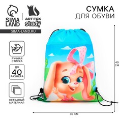 Мешок для обуви Art Fox Study