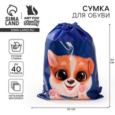 Мешок для обуви Art Fox Study