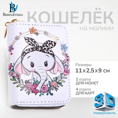 Кошелек на молнии, Выбражулька