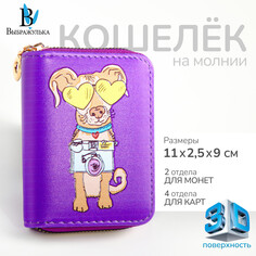 Кошелек на молнии, Выбражулька
