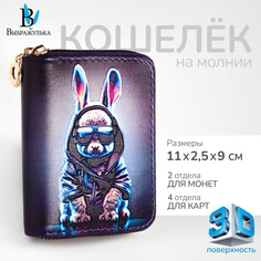 Кошелек на молнии, Выбражулька
