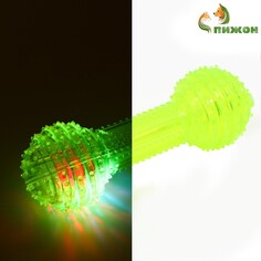 Игрушка светящаяся для собак Пижон