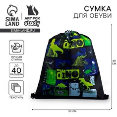 Мешок для обуви Art Fox Study