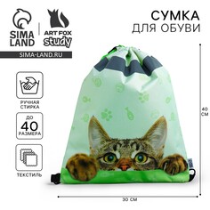 Мешок для обуви со светоотражающим элементом Art Fox Study