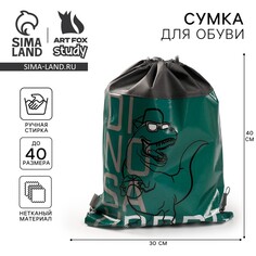 Мешок для обуви Art Fox Study