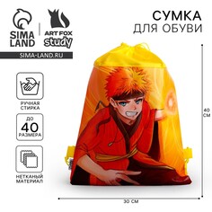 Мешок для обуви Art Fox Study