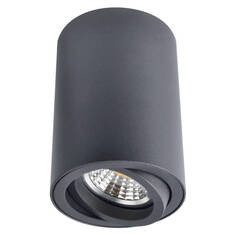 Светильники акцентные светильник накладной ARTE LAMP Sentry 1x50Вт GU10 алюминий черный