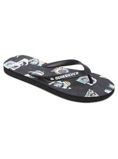 Мужские сланцы Molokai Quiksilver