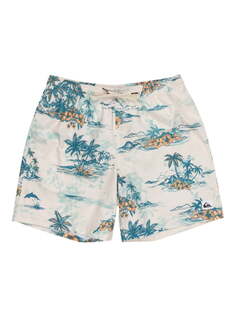 Мужские Пляжные шорты Longmanhill Volley 17" Quiksilver