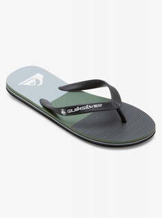 Мужские сланцы Molokai Quiksilver