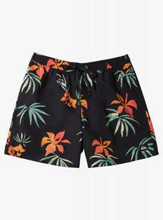 Мужские Пляжные шорты Everyday Mix Volley 15" Quiksilver