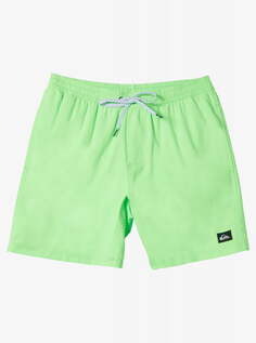 Мужские Пляжные шорты Everyday Solid Volley 15" Quiksilver