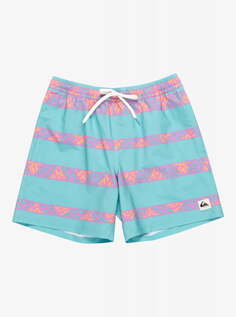 Мужские Пляжные шорты Take Us Back Volley 17" Quiksilver