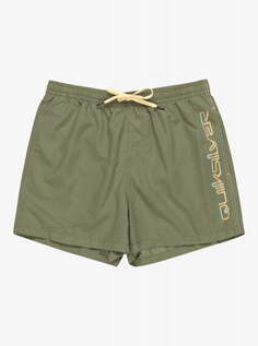 Мужские Пляжные шорты Behind Waves 15" Quiksilver