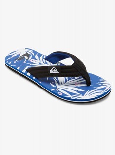 Мужские сланцы Molokai Layback Quiksilver