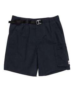 Мужские шорты Chillin Travel 19" Element