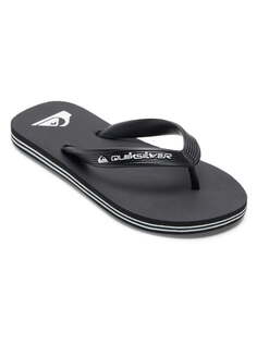 Детские сланцы Molokai Core Quiksilver