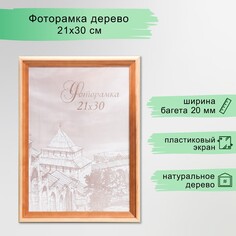 Фоторамка сосна с20 21х30 см (пластиковый экран) NO Brand