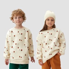 Свитшот Kaftan