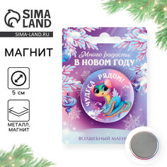 Магнит закатной Зимнее волшебство