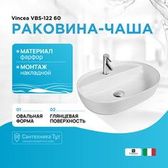 Раковина-чаша Vincea