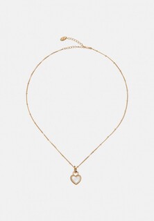 Цепь и подвеска Attribute Shop 