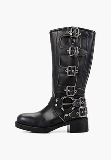 Сапоги Evigi Exclusive for Lamoda