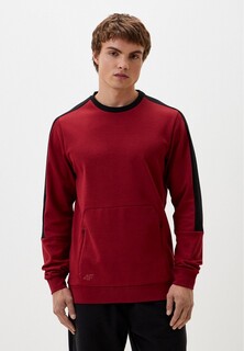 Свитшот 4F SWEATSHIRT M550