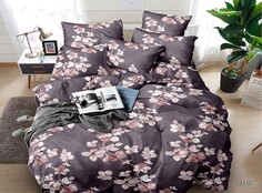 Постельное белье 2,0 спальный с Евро простыней Laguna