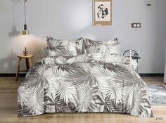 Постельное белье 2,0 спальный с Евро простыней Laguna