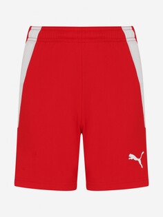 Шорты для мальчиков PUMA Teamliga Jr, Красный
