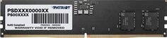 Модуль памяти DDR5 8GB Patriot Memory PSD58G560081 Signature Line PC5-44800 5600MHz CL46 1.1V UDIMM