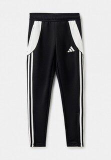 Брюки спортивные adidas TIRO24 TRPTY