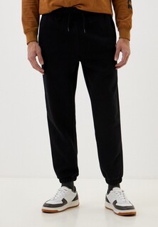 Брюки спортивные Dickies MAPLETON