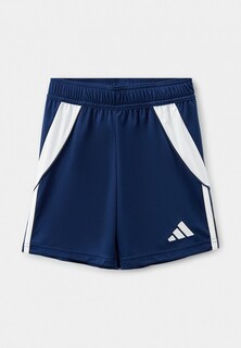 Шорты спортивные adidas TIRO24 SHO Y